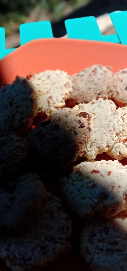 Audrey Adellon’s Zero Waste Okara Cookies&nbsp;Recipe