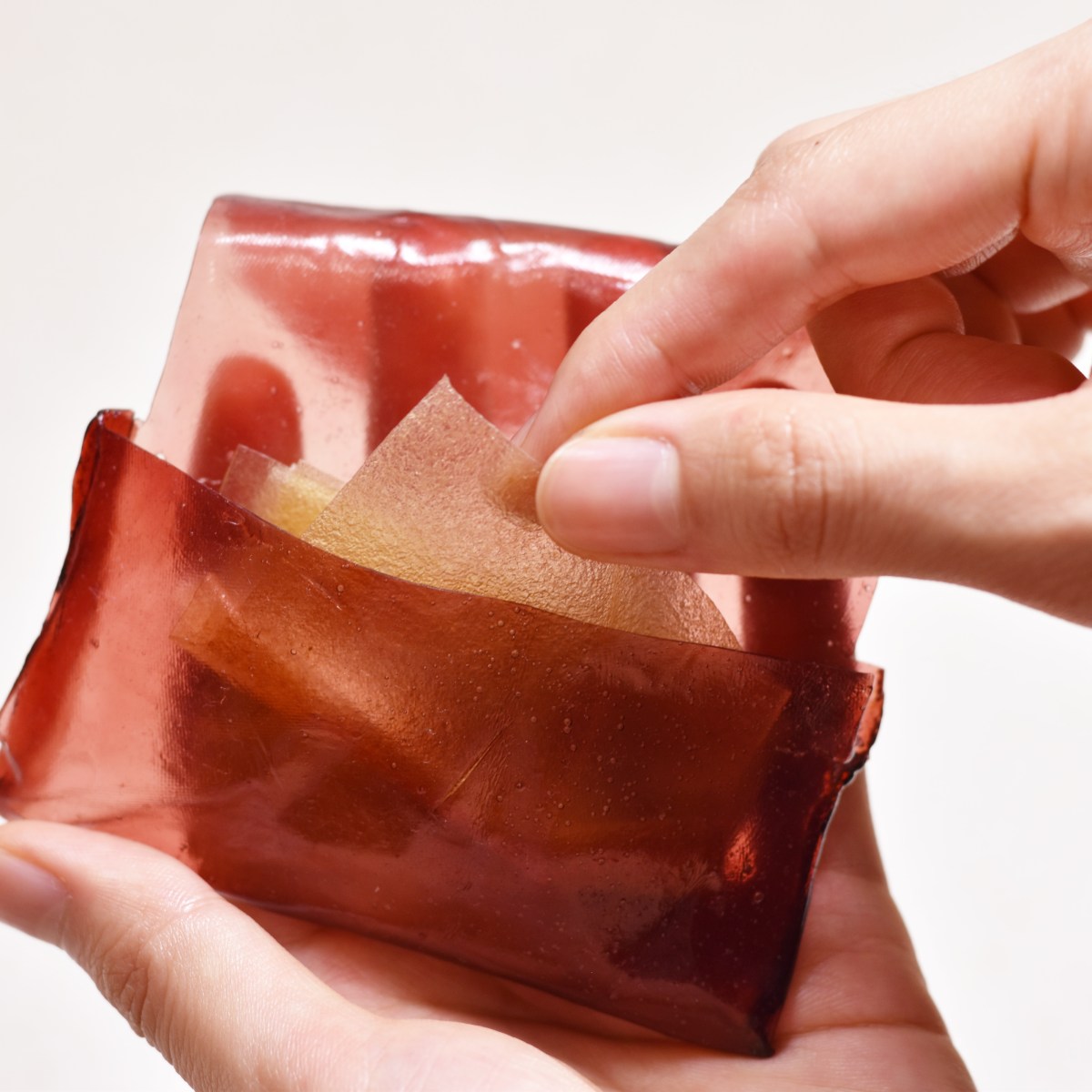 The Future of Food Packaging with Wenwen&nbsp;Fan