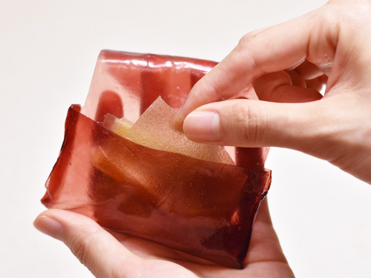 The Future of Food Packaging with Wenwen&nbsp;Fan